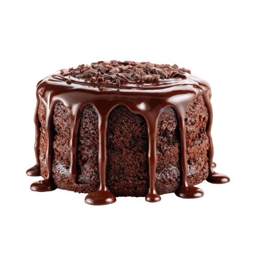 Chocolate Fudge Cake